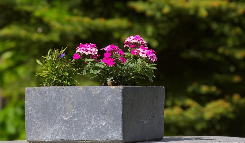 Repurposed Planters